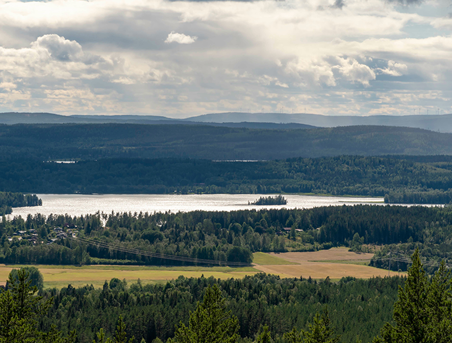 landskap med sjö och skog