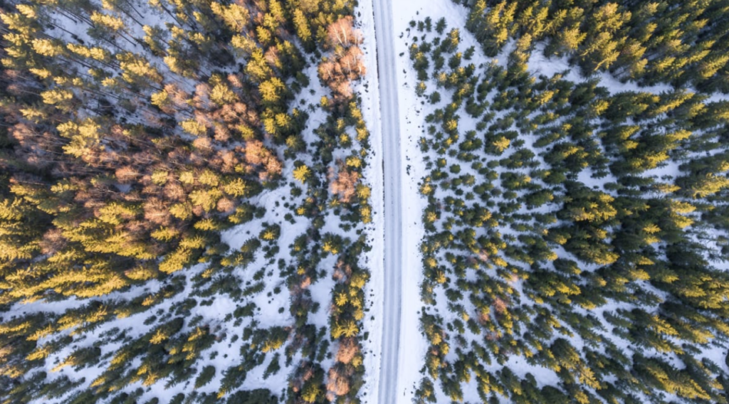 En skogsväg med träd omkring sig fotad ovanifrån