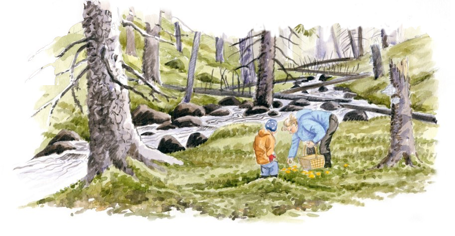 Akvarell, två personer plockar svamp i en skog vid en bäck.